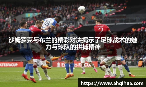 球王会体育官方网